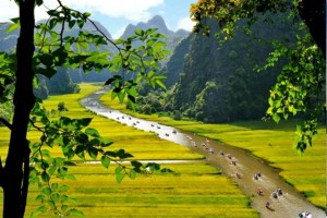 HOA LU - TAM COC DAY TRIP