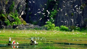 TAM COC – BICH DONG – THUNG NHAM